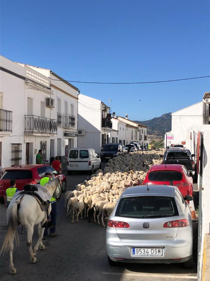 El Oasis Villa Algodonales Dış mekan fotoğraf