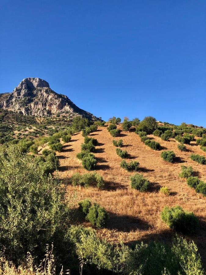 El Oasis Villa Algodonales Dış mekan fotoğraf