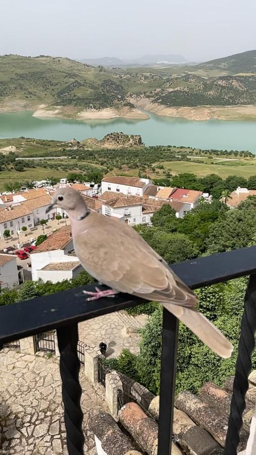 El Oasis Villa Algodonales Dış mekan fotoğraf