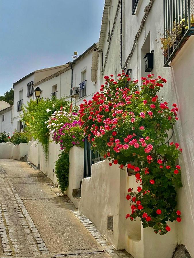 El Oasis Villa Algodonales Dış mekan fotoğraf